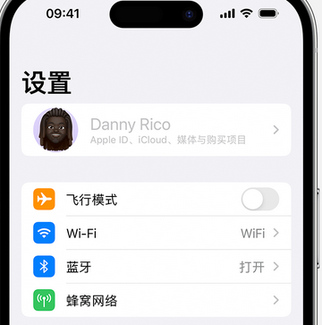 小板镇appleID维修服务iPhone设置中Apple ID显示为灰色无法使用 