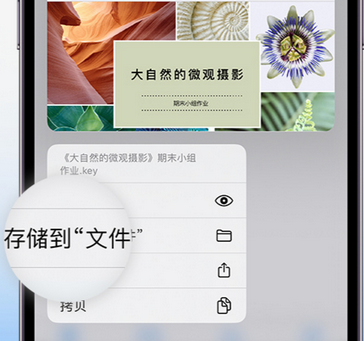 小板镇apple维修中心分享iPhone文件应用中存储和找到下载文件