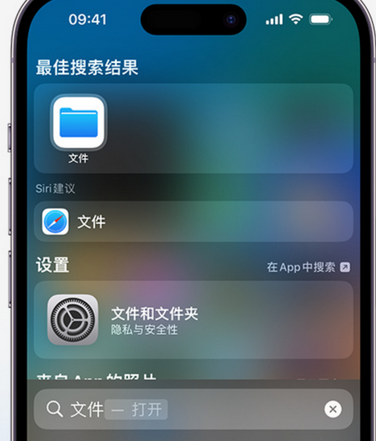 小板镇apple维修中心分享iPhone文件应用中存储和找到下载文件