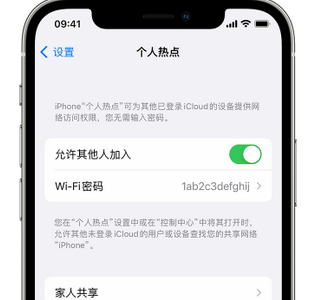 小板镇apple服务站点分享iPhone上个人热点丢失了怎么办