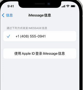 小板镇apple维修iPhone上无法正常发送iMessage信息 