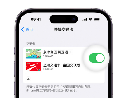 小板镇apple维修点分享iPhone上更换Apple Pay快捷交通卡手绘卡面 