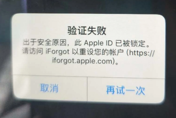 小板镇iPhone维修分享iPhone上正常登录或使用AppleID怎么办 