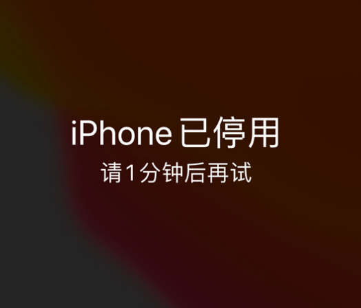 小板镇苹果手机维修分享:iPhone 显示“不可用”或“已停用”怎么办？还能保留数据吗？ 