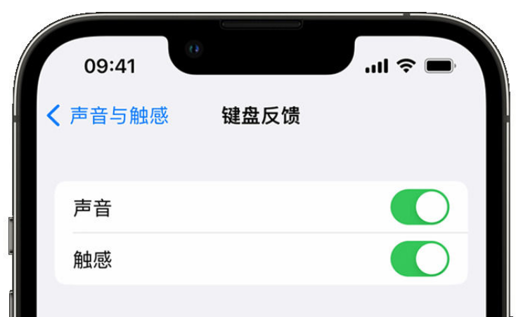 小板镇苹果手机维修分享iPhone 14触感键盘使用方法 