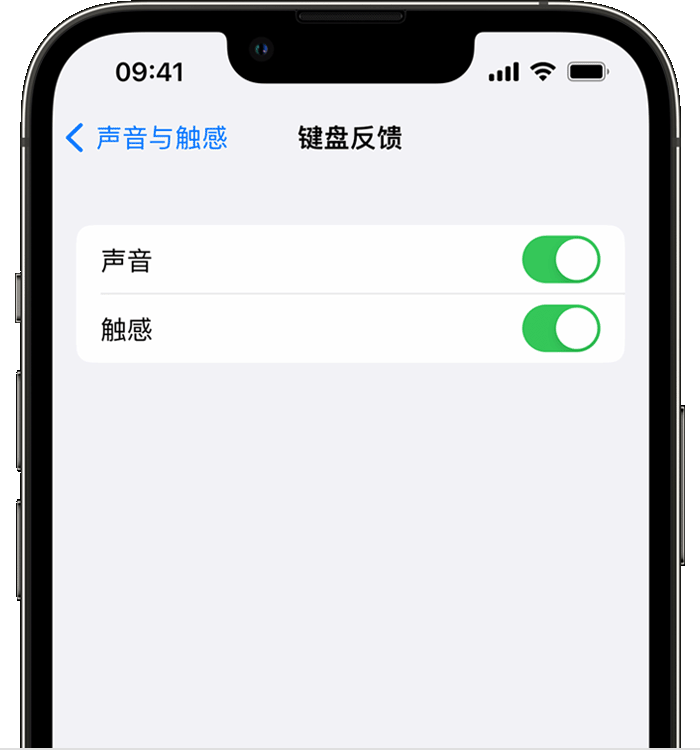 小板镇苹果14维修店分享如何在 iPhone 14 机型中使用触感键盘 