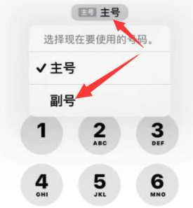 小板镇苹果14维修店分享iPhone 14 Pro Max使用副卡打电话的方法 