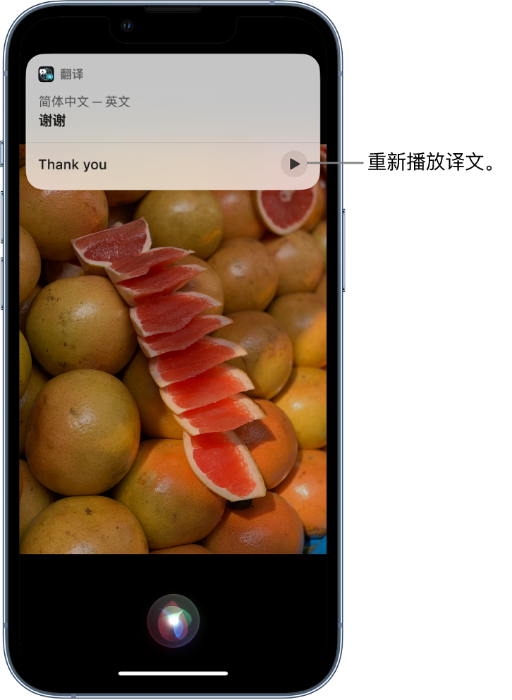 小板镇苹果14维修分享 iPhone 14 机型中使用 Siri：了解 Siri 能帮你做什么 