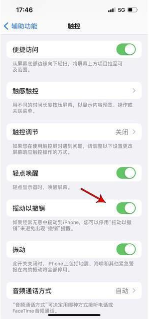 小板镇苹果手机维修分享iPhone手机如何设置摇一摇删除文字 